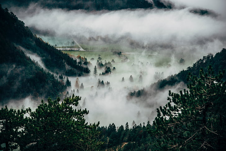 nature, landscape, fog, mountain, trees, pine tree, clouds