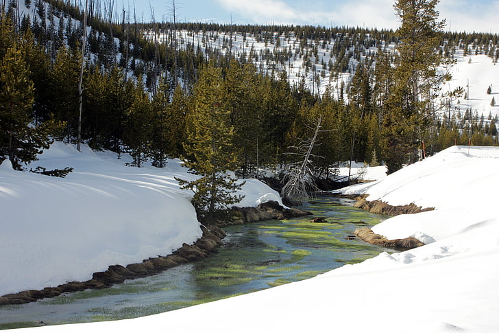 Creek, agua, invierno, paisaje, tranquilo, Scenic, nieve