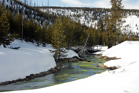 Creek, vatten, vinter, landskap, lugn, natursköna, snö