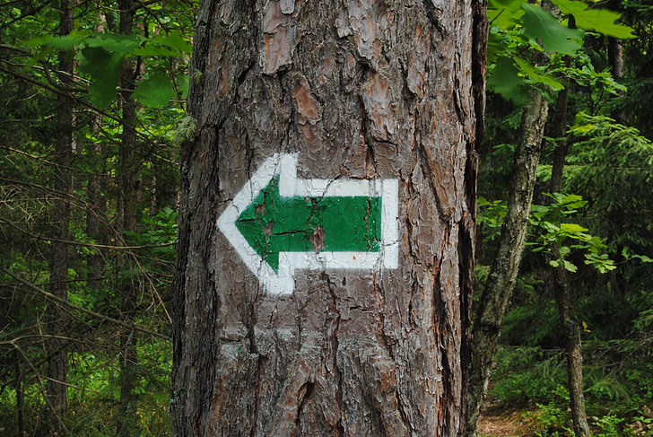 flecha, Ruta de senderismo, árbol, bosque, Konaré, la ruta de acceso