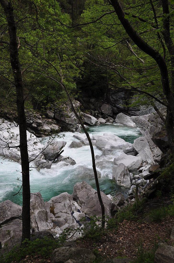Río, agua, piedras, rápidos, Alpine, Ticino, montañas