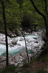 Річка, води, камені, пороги, Альпійська, регіоні Ticino, гори