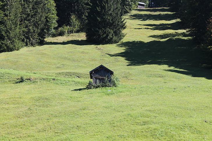 Lunca, Munţii, peisaj, Oberstdorf, ierburi, Mountain meadow