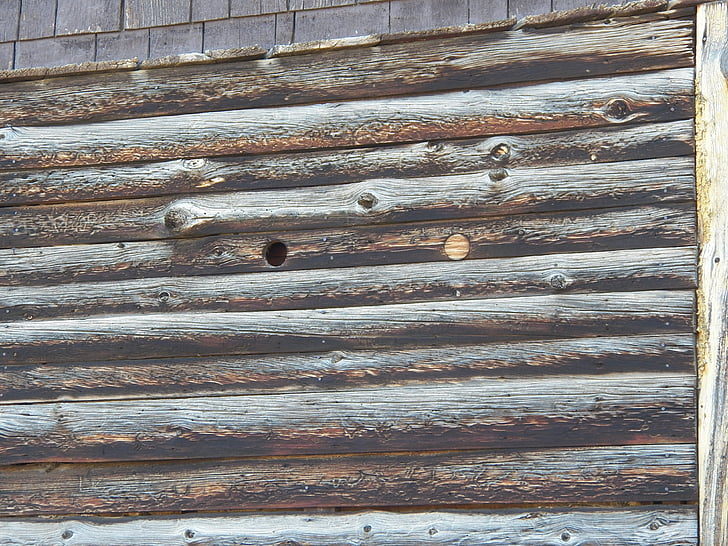 wood, texture, wood background
