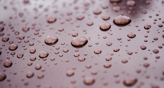 krople, krople deszczu, deszcz, mokra, czyste, szary, cień