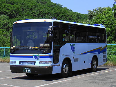 Buss, motorcoach, transport, motorbus, Tour, turistid, Travel