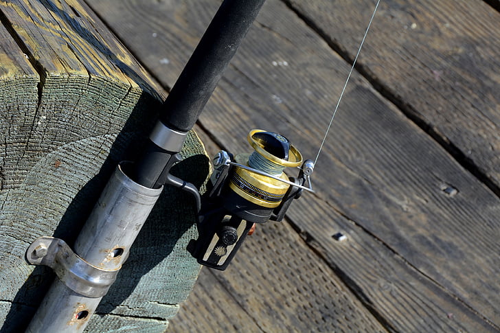 fishing reel, fish, fishing rod, hobby, peaceful, coast, fishing line