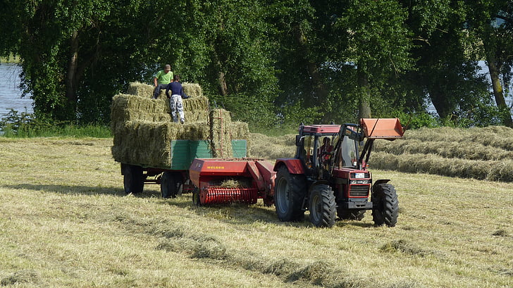 traktorer, jordbruk, traktor, Hay, djurfoder, röd