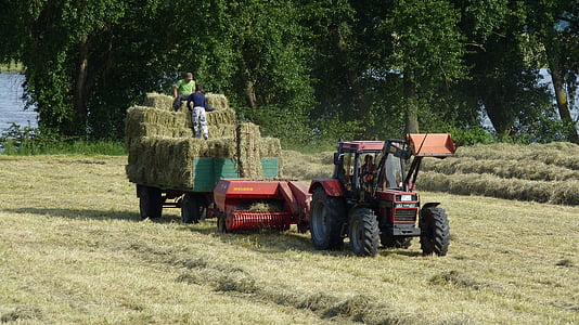 traktorok, mezőgazdaság, traktor, széna, szarvasmarha-takarmány, piros
