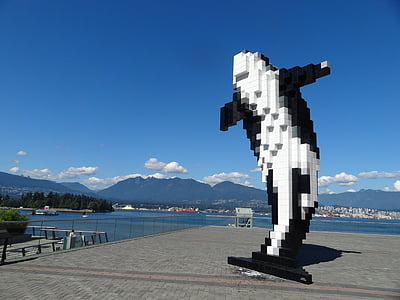 sochařství, velryba, venkovní, Vancouver, Hora, socha, kultura