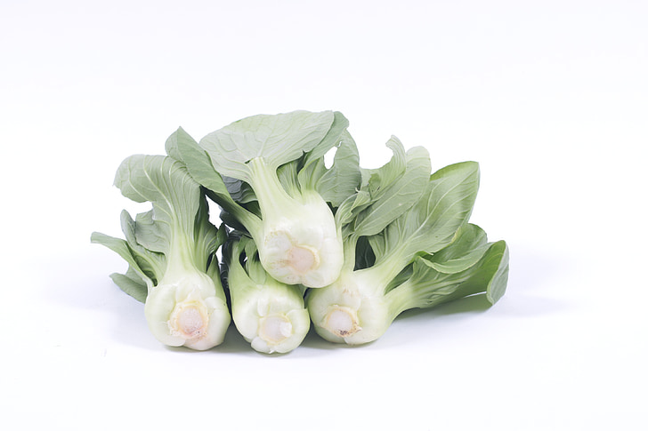 Bok choy, vegetals, benestar, fons blanc