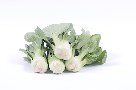Bok choy, vegetal, bem-estar, fundo branco