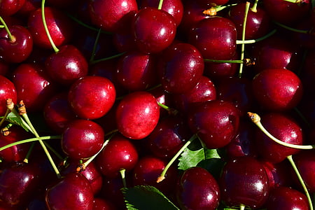 cherries, close, nature, fruit, red, delicious, food