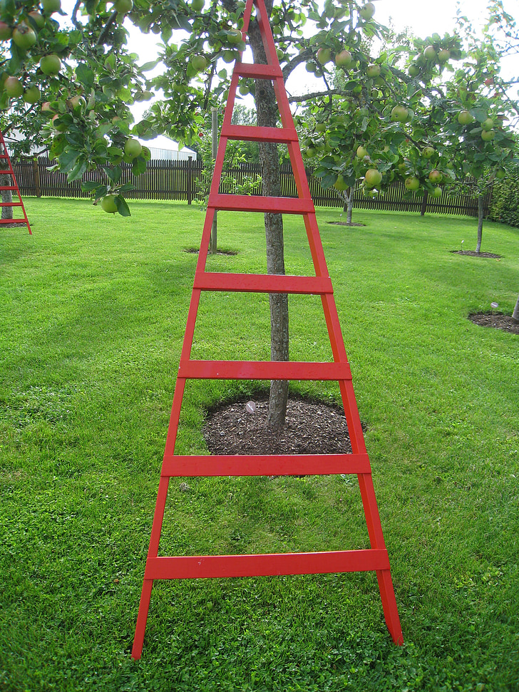 escalera, arte, rojo, jardín, verano, árbol de manzana, hierba