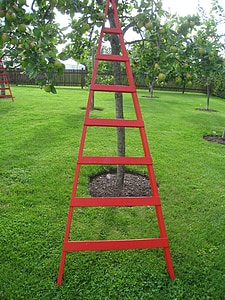 ladder, art, red, garden, summer, apple tree, grass