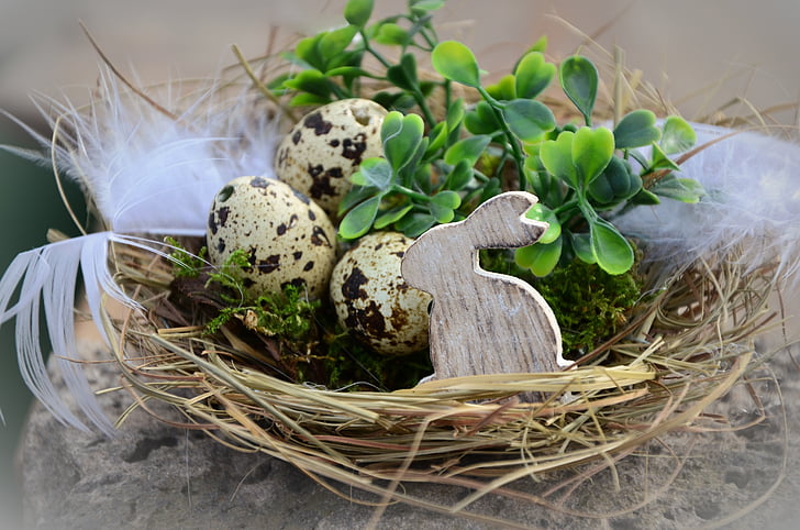 Pasqua, uova di Pasqua, nido, coniglietto di Pasqua, Cestino, lepre, decorazione