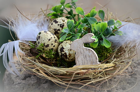easter, easter eggs, nest, easter bunny, basket, hare, decoration