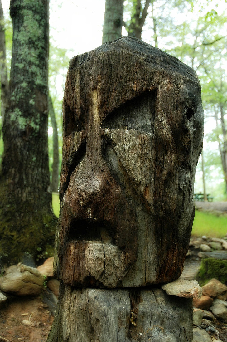 Totem, albero, in legno, viso