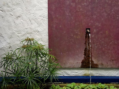 Estany, jardí, Aixeta d'aigua, botànic, Zen