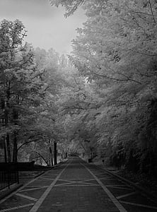 infrared, black and white, brick road, time, distance, street