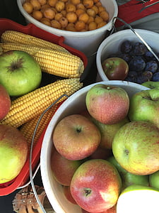 buah, Apple, jagung, panen, organik, Eco, Bio
