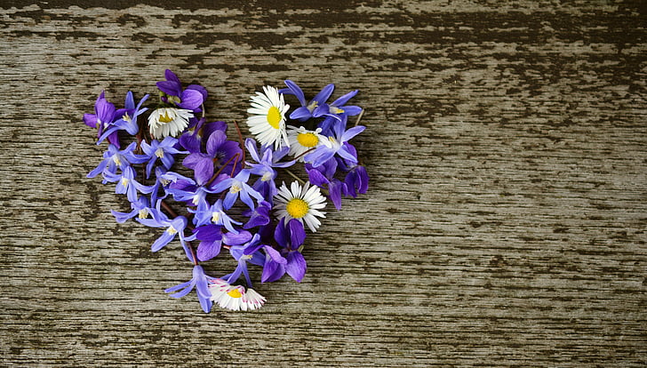 flower heart, spring blossoms, heart, violet, star hyacinth, birthday greeting, floral greeting