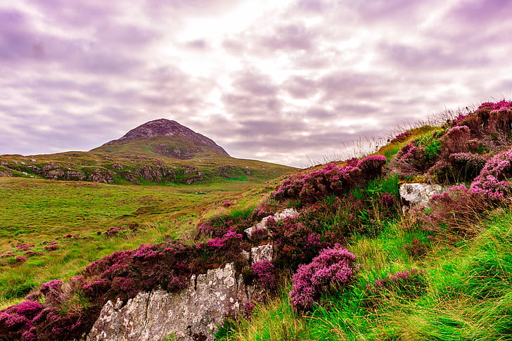 Īrija, pļavas, zaļa, zāle, daba, ainava, mākoņi