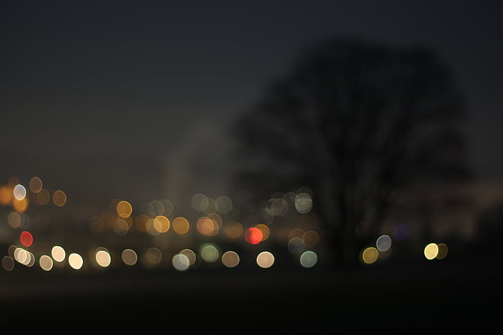 bokeh, arbre, nit, ciutat, fora de focus, fosc, estètica