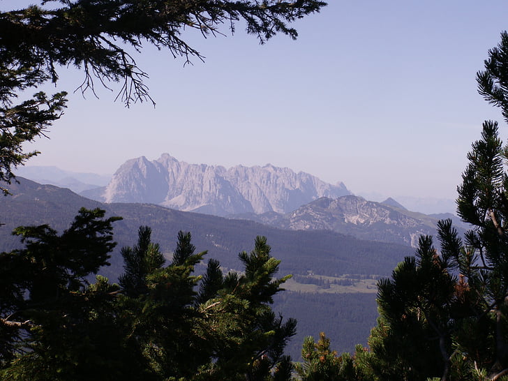 hory, Panorama, stromy