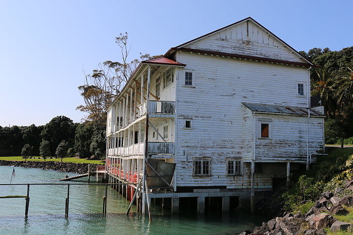 maison ancienne, Devonport, Auckland, maison, eau, bois - matériau
