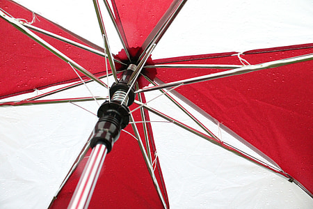 parapluie, pluie, météo, automne, protection, saison, Wet