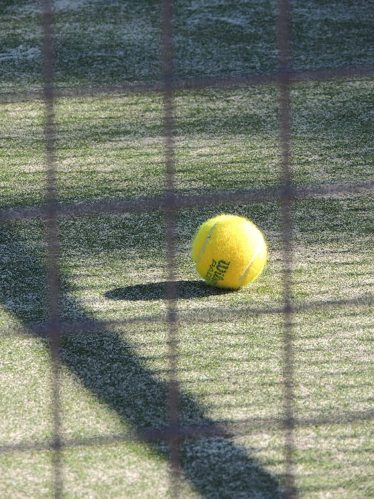 Wilson, Ball, fermer, photo, en journée, tennis, sport