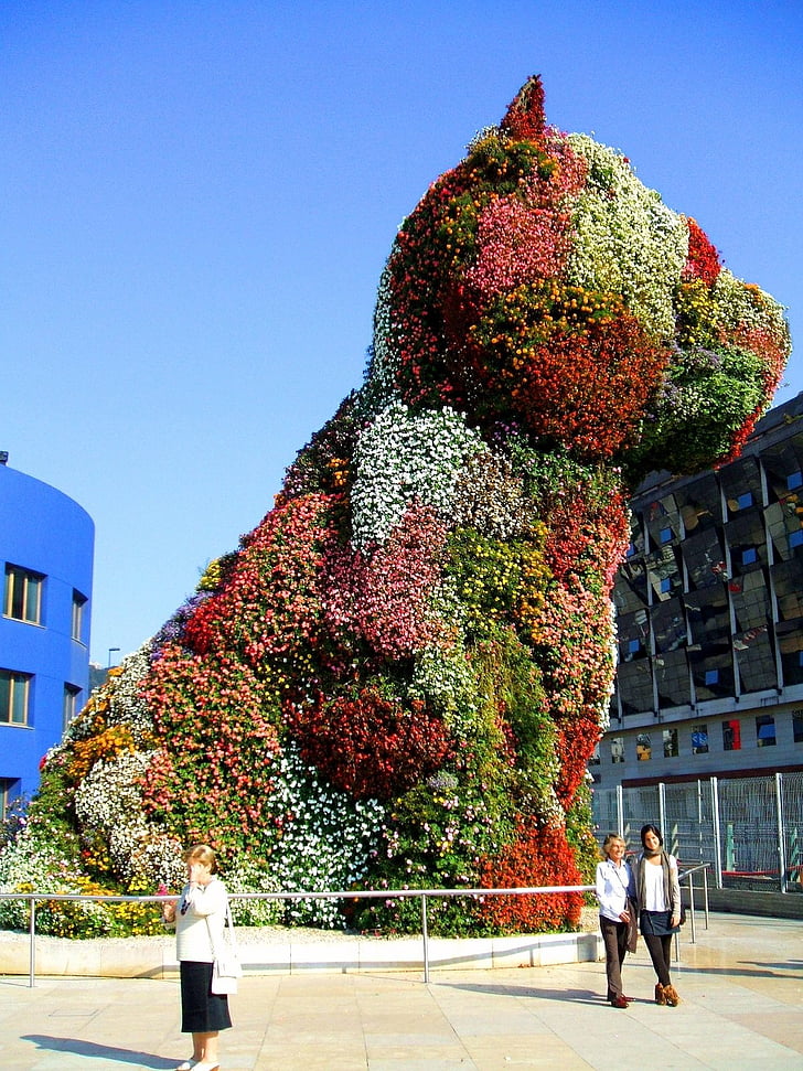 Bilbao, Spania, Figura, flori, câine, frumos, cer