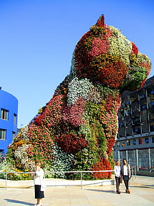 Bilbao, Hiszpania, Rysunek, kwiaty, pies, piękne, niebo