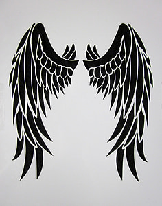 Wing, svart, fjær, fuglen, svarte vingene, svart engel, sommerfugl
