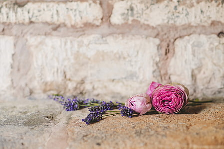 boda, flores, ramo de la, pared, piedra, ceremonia de, arreglo