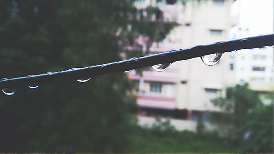 building, close-up, droplets, drops, macro, outdoors, rain