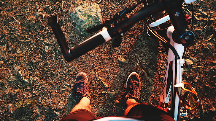 en el bosque, ronda, deporte, adrenalina, Cyclo, viajes, colinas de