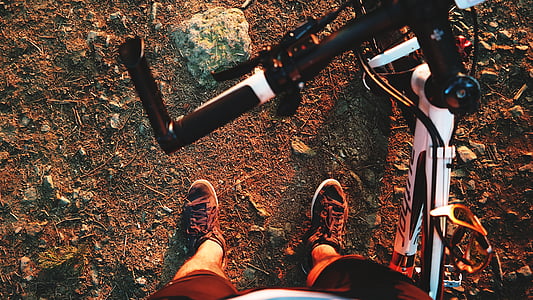 di hutan, putaran, olahraga, adrenalin, Cyclo, perjalanan, bukit-bukit
