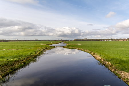голландский пейзаж, Река, Луга, облака, польдерные, пасмурное небо, пастбище