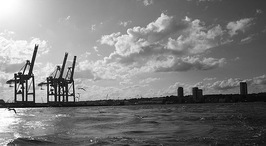 Puerto de Hamburgo, Grúas de pórtico, gaviotas, Hamburgo, Elba, mar, industria