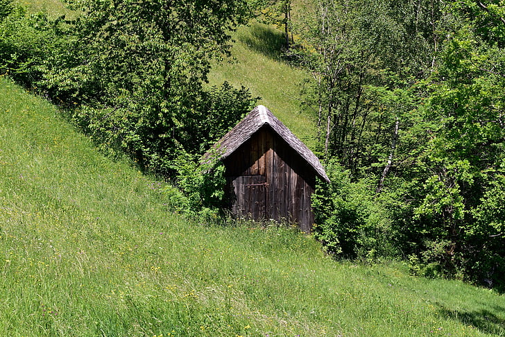 capanna, paesaggio, prato, log cabin, natura, verde