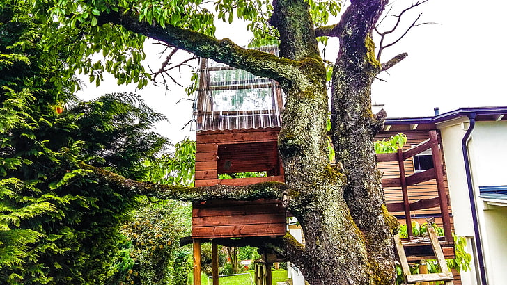 tree, treehouse, nature, tree hut, wood, play, retreat