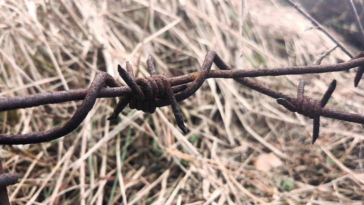 barbed wire, macro, wire, fencing, rust, corrosion, metal