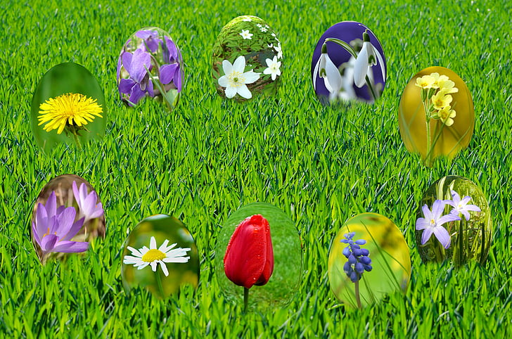 Semana Santa, huevos, primavera, sol, hierba, verde, cielo