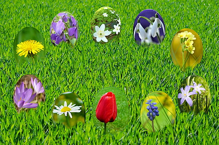 Pääsiäinen, munat, kevään, Sun, ruoho, vihreä, taivas
