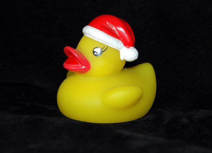 rubber duck, bath duck, squeak duck, duck, nicholas, toys