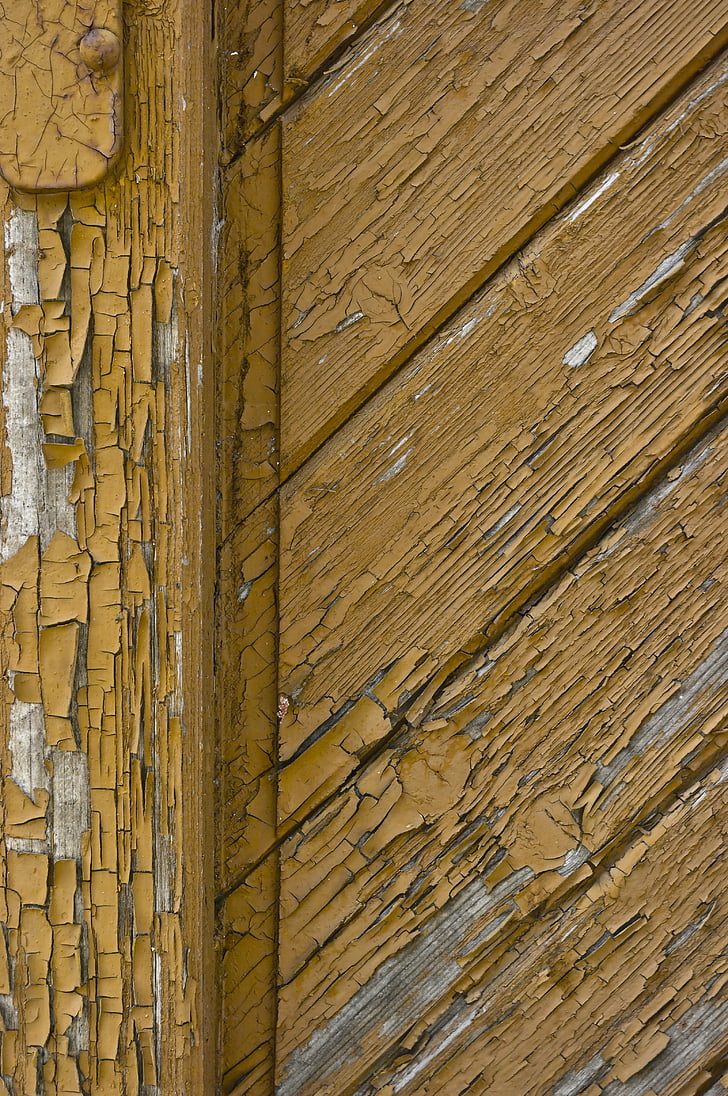 peinture, vieux, arbre, arrière-plan, surface, texture du bois