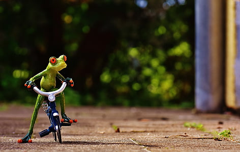granota, bicicleta, divertit, valent, dolç, figura, unitat