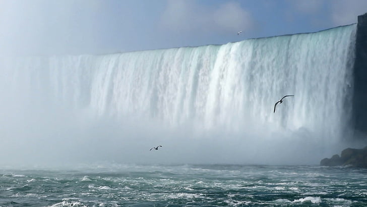 chutes du Niagara, chute d’eau, oiseaux, Flying, rivière, paysage, American falls